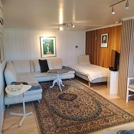 Tryms Vei 20a - Stor Apartment