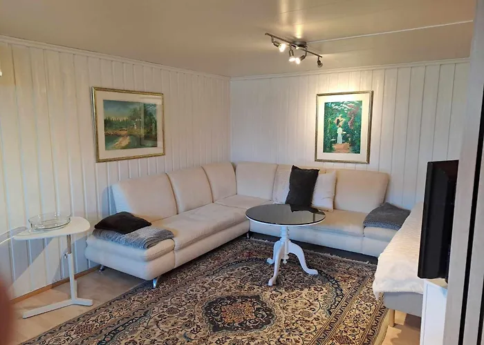 Apartman Tryms Vei 20a - Stor