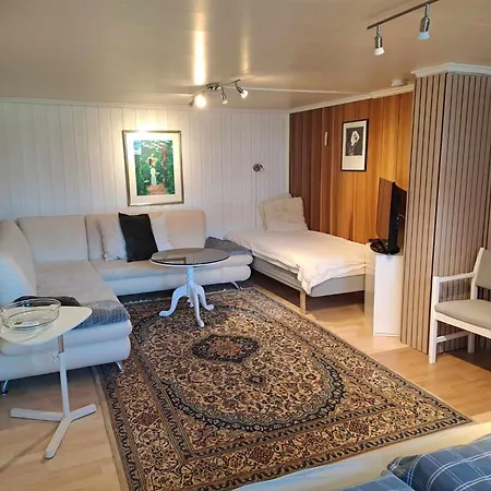 Tryms Vei 20a - Stor Lägenhet *